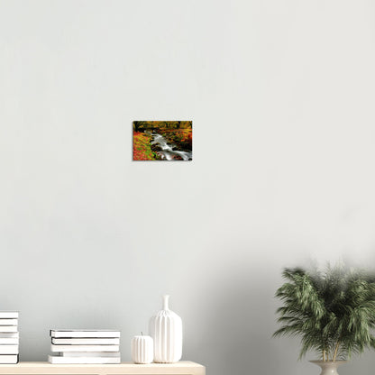 Canvas wall art of Burrator Reservoir surrounded by autumn foliage