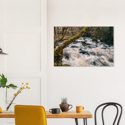 Canvas print showcasing the natural energy of the River Plym in Devon’s Dartmoor