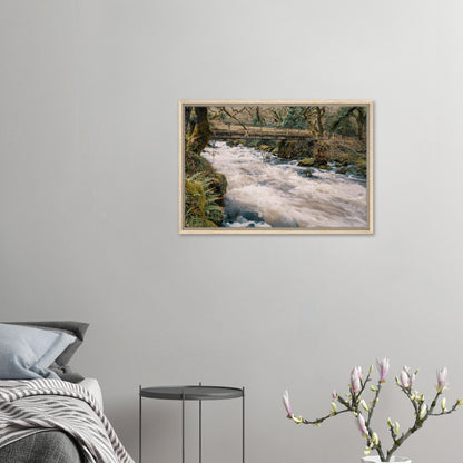 River Plym artwork with motion blur and mossy rocks