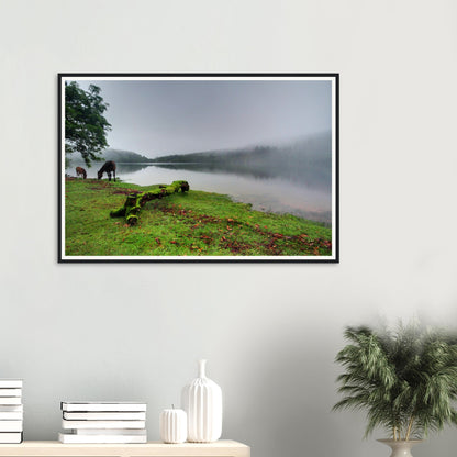 Ethereal Dartmoor framed wall art with mist and woodland scene