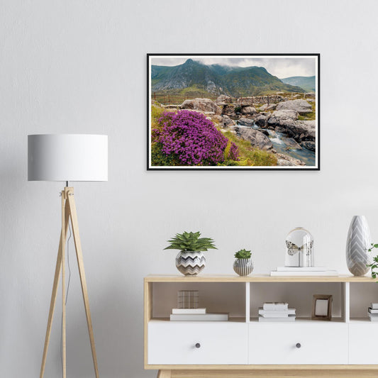 Framed print of Llyn Idwal Snowdonia with purple heather