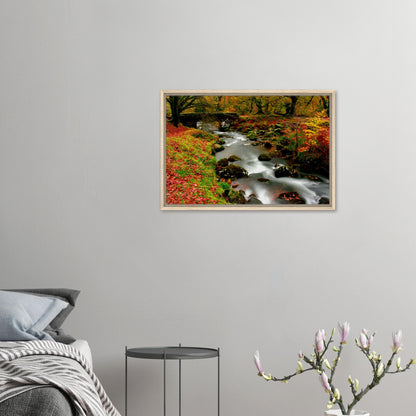 Framed wall art of Dartmoor forest with moss-covered rocks in autumn