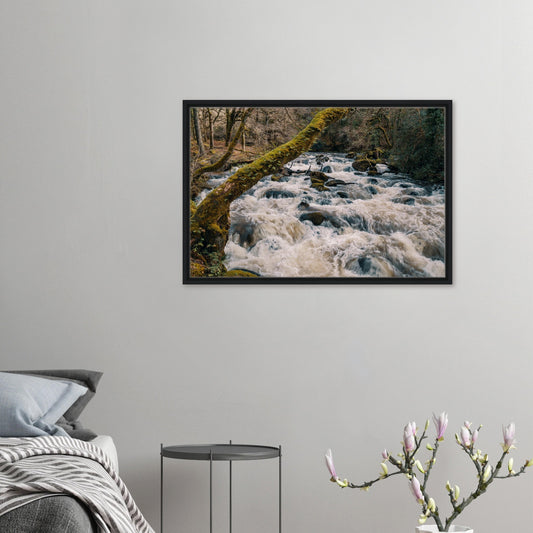 Framed canvas of River Plym rapids in Dartmoor