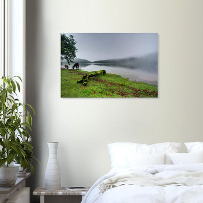 Dreamlike Dartmoor reservoir scene with mist and soft light
