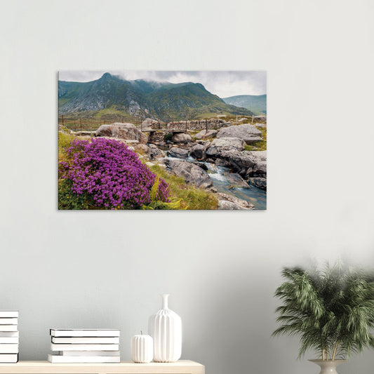 Llyn Idwal canvas print with purple heather and stone bridge