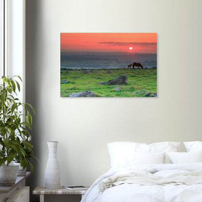Dartmoor sunset canvas with iconic ponies and vibrant evening colours.