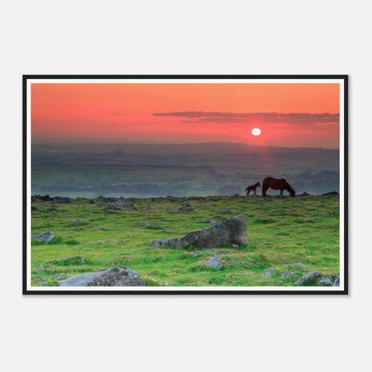 Silhouette of mare and foal grazing on Dartmoor framed wall art