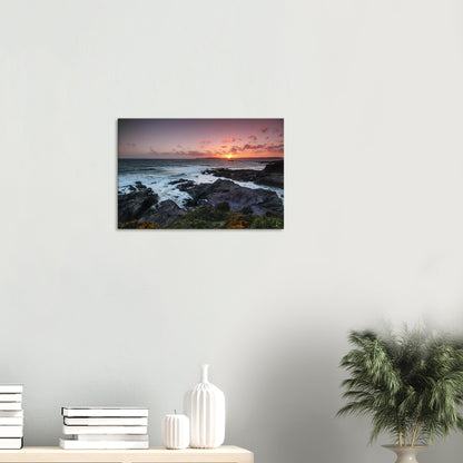 Canvas print of Heybrook Bay’s dramatic sunset with glowing sea, silhouetted rocks, and delicate wildflowers on the cliffside.