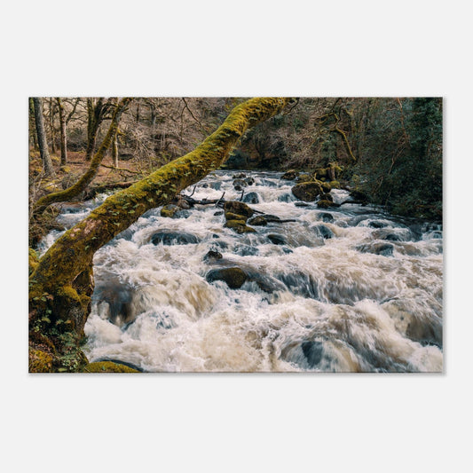 Dramatic river landscape with rushing water and forest textures in Shaugh Prior