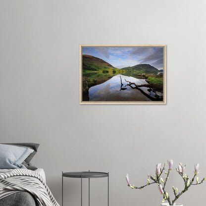 Crummock Water framed landscape with calm lake and branch