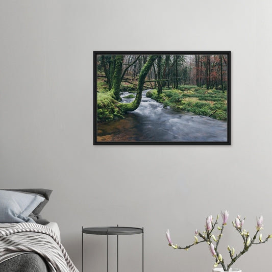 Framed canvas of the River Meavy woodland in Dartmoor