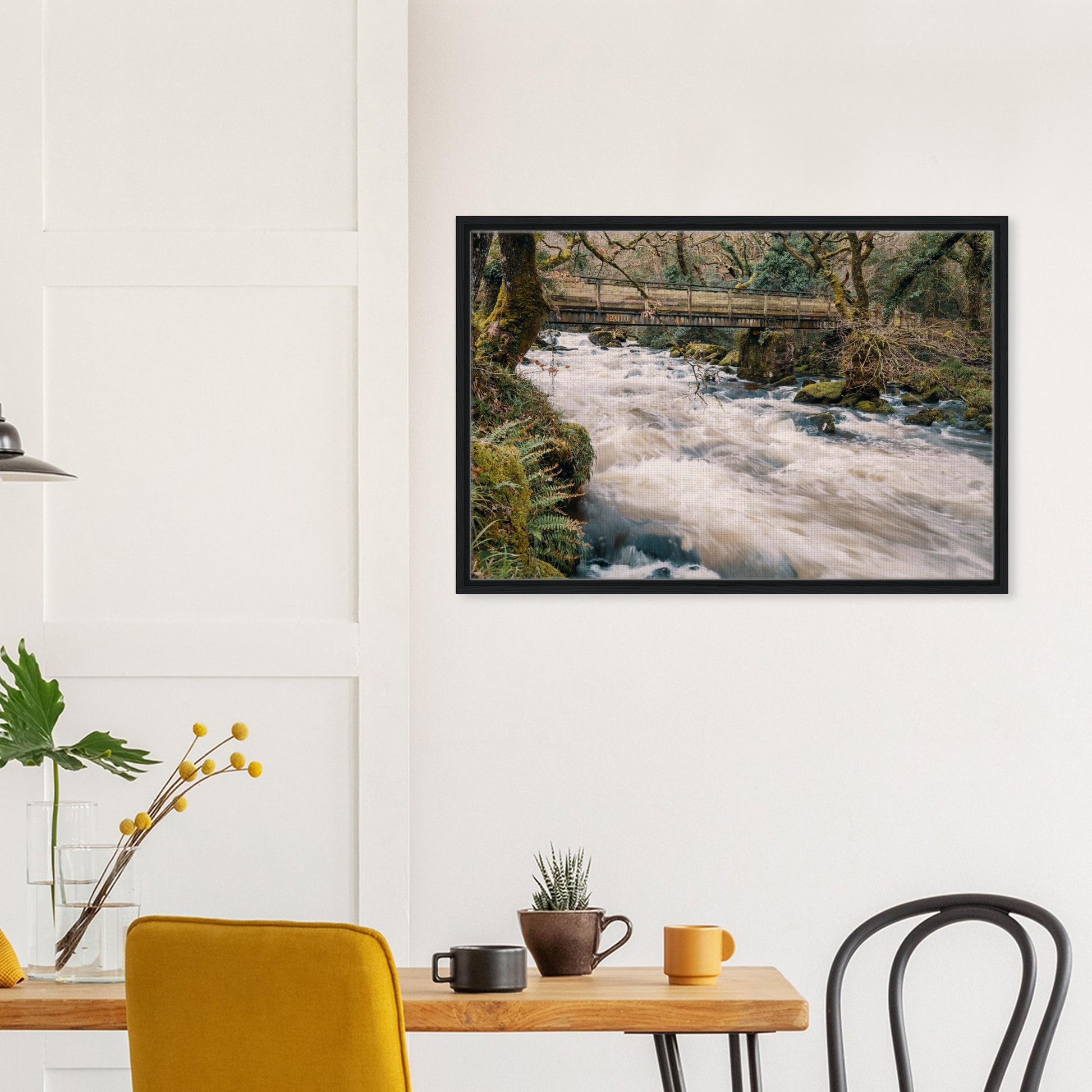 River Plym landscape with mossy woodland banks