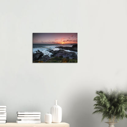 Stunning sunset canvas of Heybrook Bay with warm golden light casting silhouettes over rocky shores and wildflowers swaying in the sea breeze.
