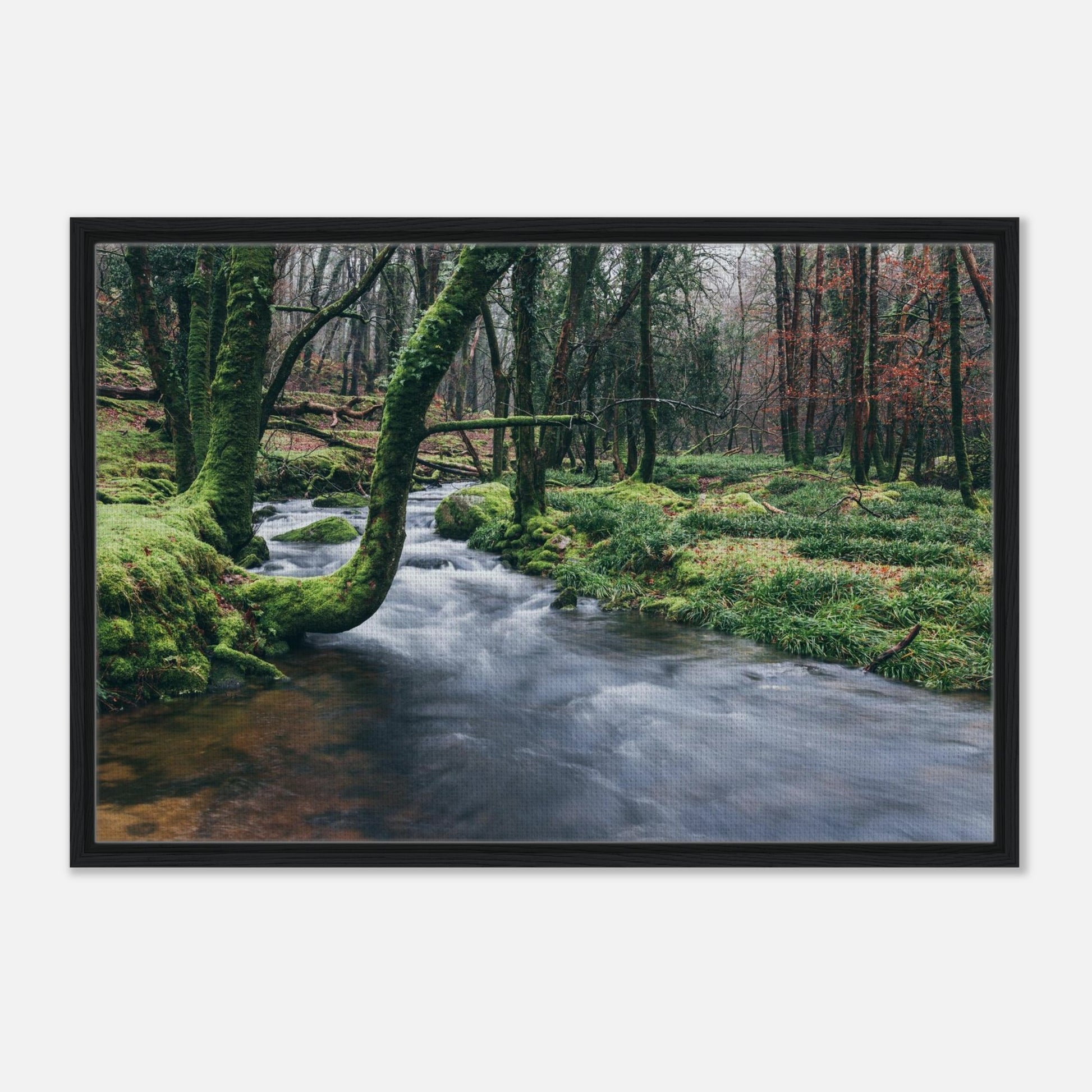 Moss-covered trees over flowing river in Dartmoor print