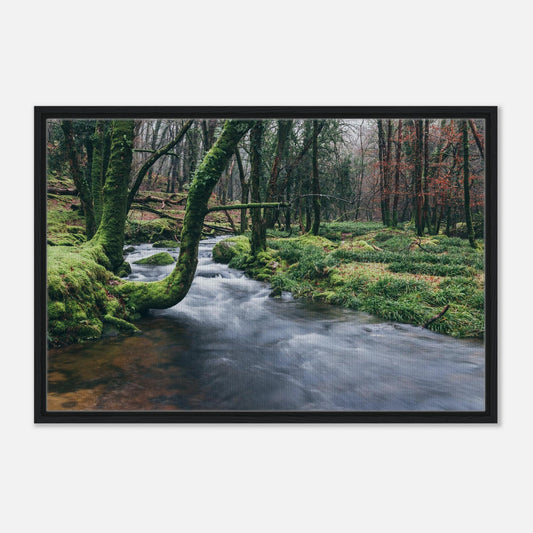 Moss-covered trees over flowing river in Dartmoor print