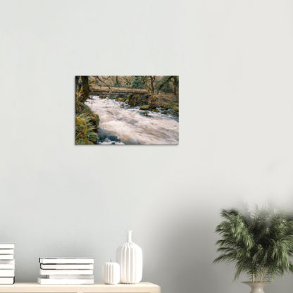 River Plym’s lively waters framed by ferns and greenery at Shaugh Prior in Devon