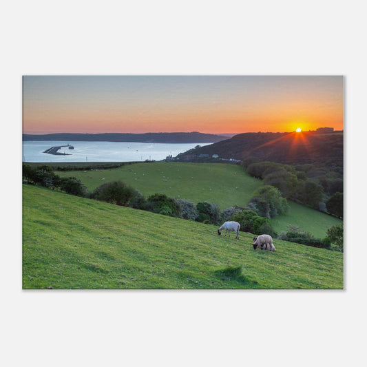 Peaceful Devon landscape canvas featuring sunset over Plymouth Sound