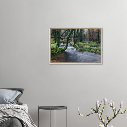 Tranquil Dartmoor woodland scene with river canvas