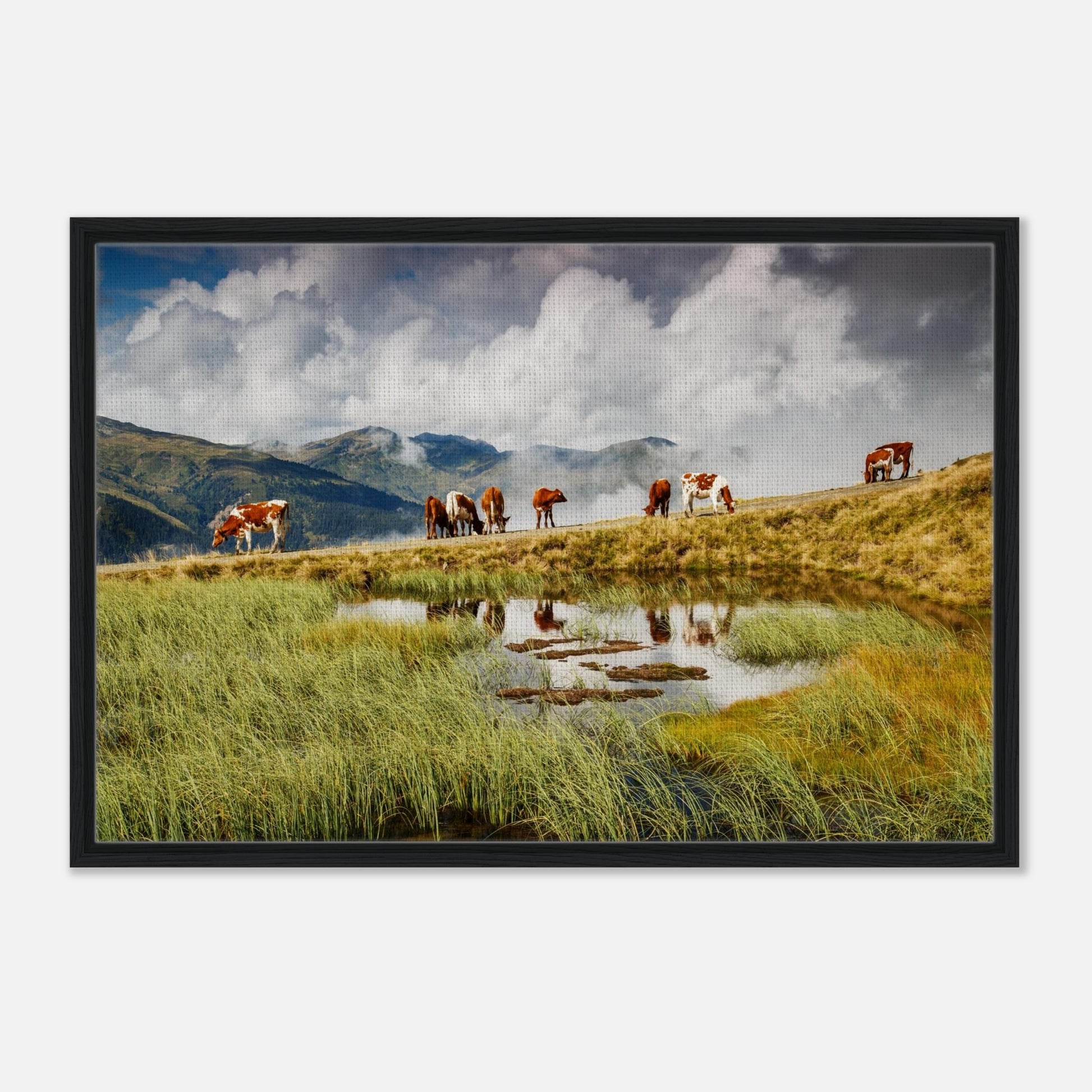 Alpine cows and pond reflections at Resterhöhe in wall art