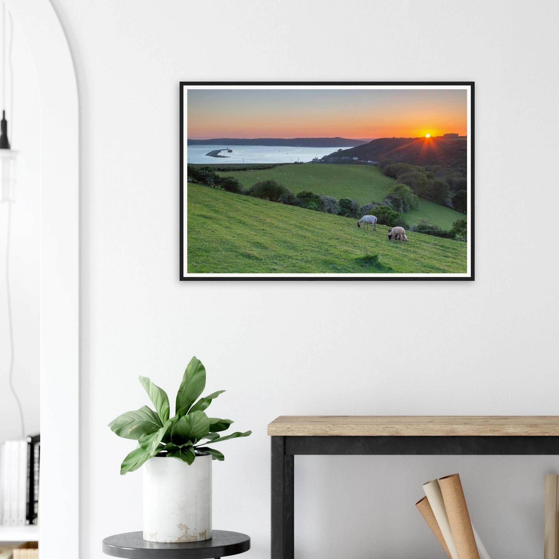 Scenic framed print of Plymouth Sound coastline with hillside sheep