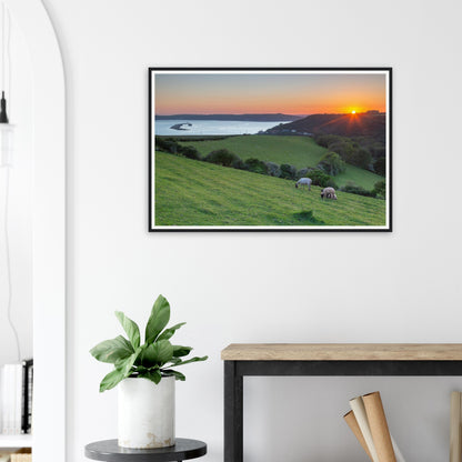 Scenic framed print of Plymouth Sound coastline with hillside sheep