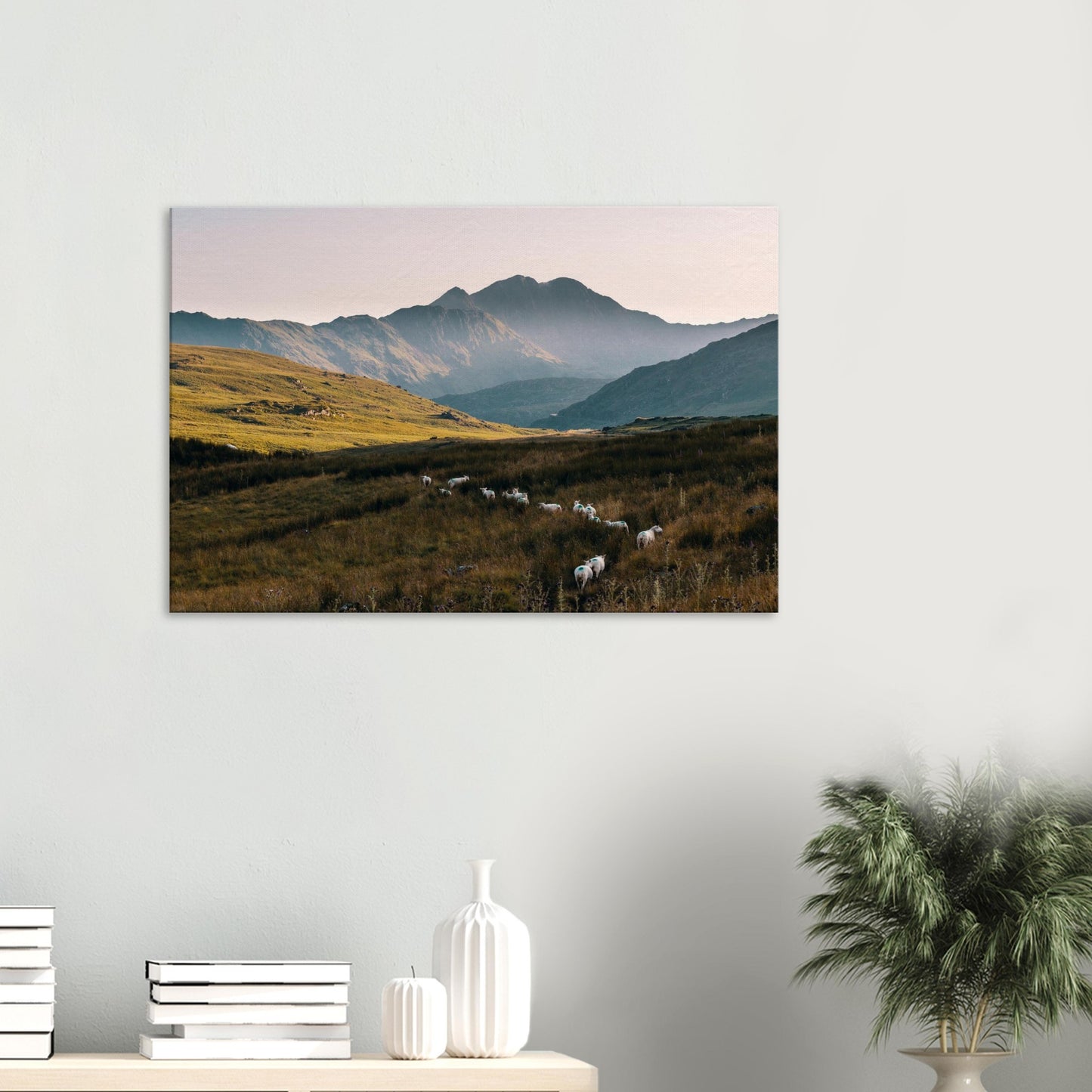 Snowdonia sunset canvas print with golden hills and sheep