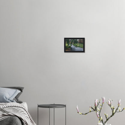Framed forest and river print from Dartmoor National Park