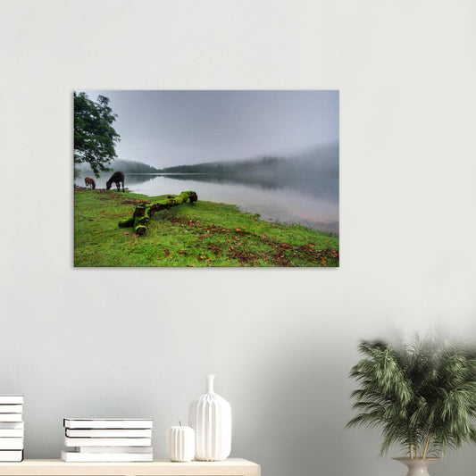 Canvas print of Burrator Reservoir in Dartmoor National Park on a misty morning