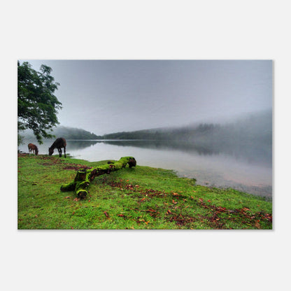 Mist over Burrator Reservoir with silhouetted trees and tranquil water