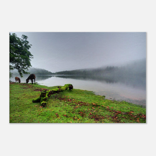 Mist over Burrator Reservoir with silhouetted trees and tranquil water