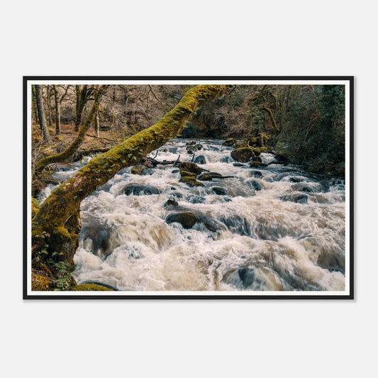 Scenic framed wall art of River Plym flowing over boulders