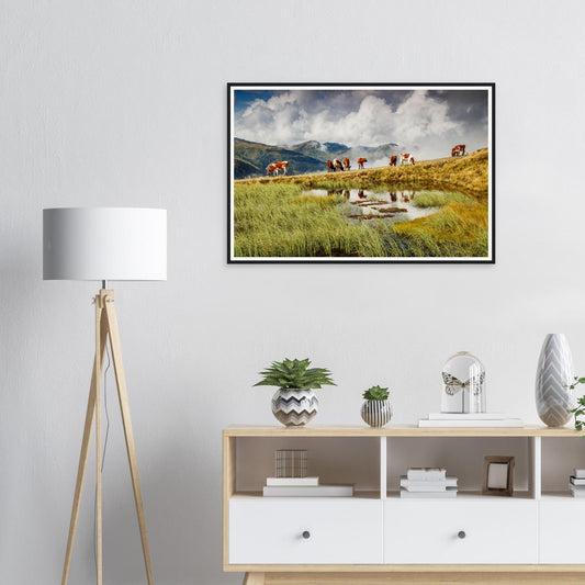 Framed print of Panoramabahn in Austria with cows grazing in alpine meadow