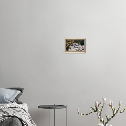 Shaugh Prior framed print with river and mossy trees