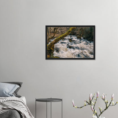 Shaugh Prior river scene with powerful white water