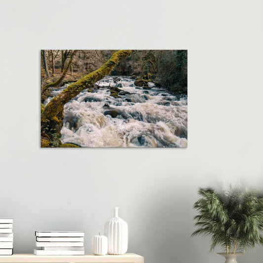 Canvas print of the River Plym cascading through mossy woodland in Shaugh Prior, Dartmoor