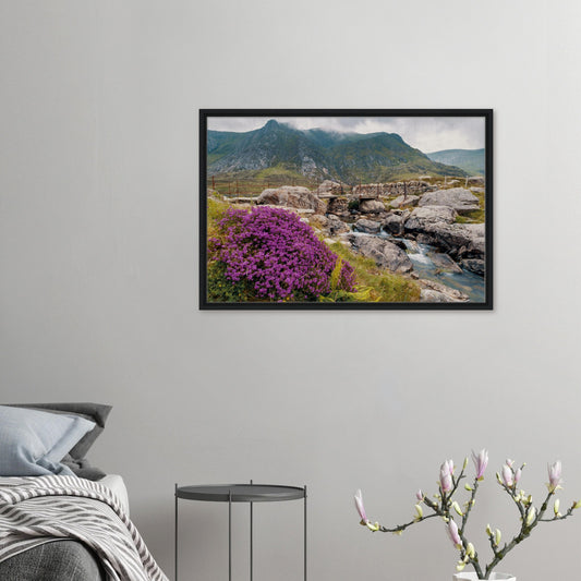 Framed canvas of Llyn Idwal in summer bloom