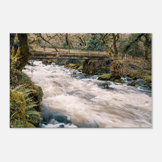 Dartmoor’s River Plym captured mid-cascade under a rustic footbridge in lush woodland
