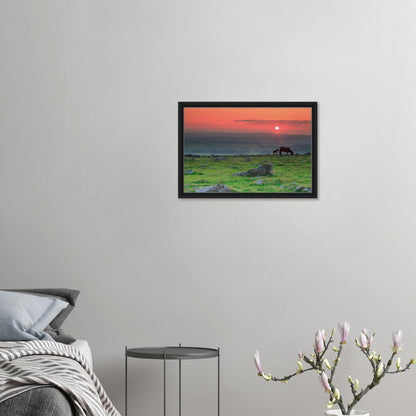 Sunset over Dartmoor moors with grazing horses in canvas