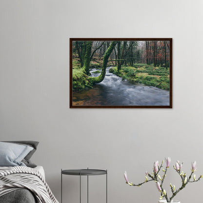 River Meavy Dartmoor forest view in wall art canvas
