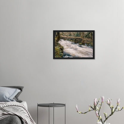 Shaugh Prior framed canvas with Dartmoor woodland river