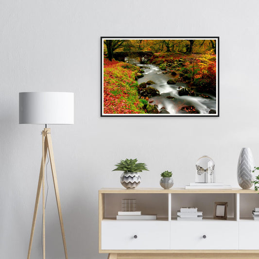 Framed print of Burrator Reservoir woodland in Dartmoor National Park during autumn