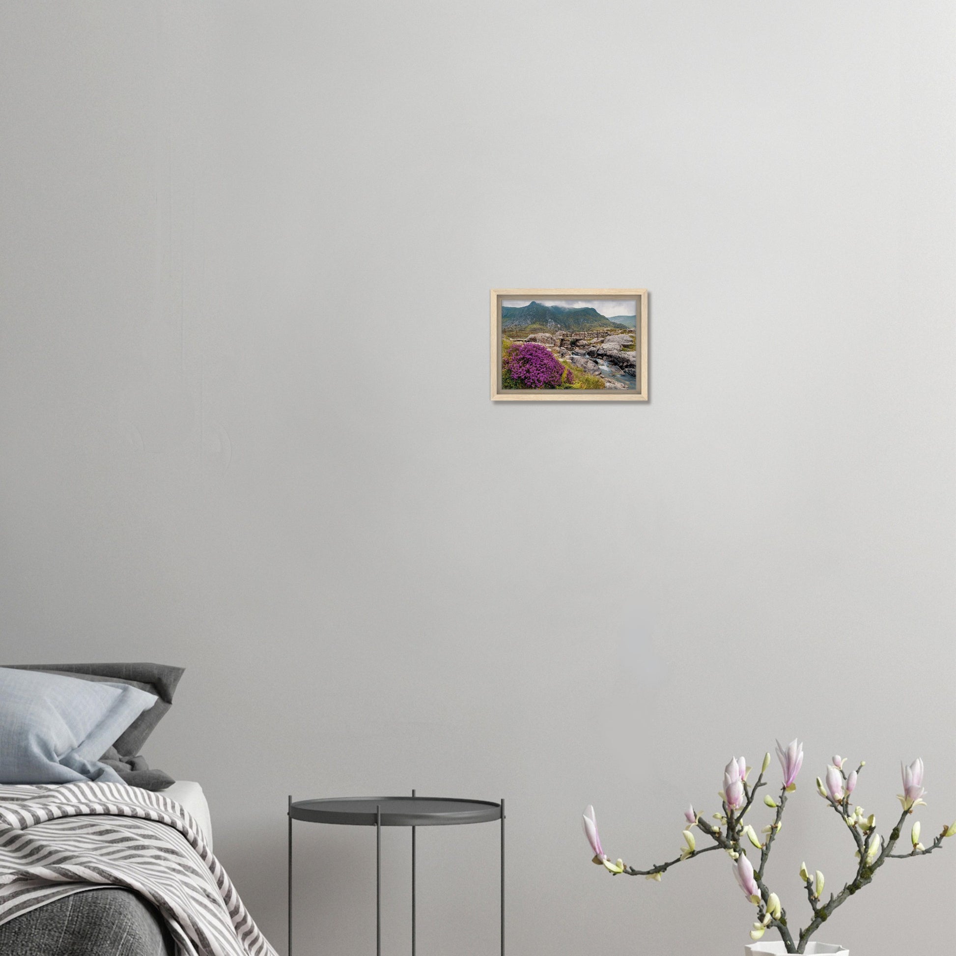 Purple heather in bloom at Llyn Idwal canvas