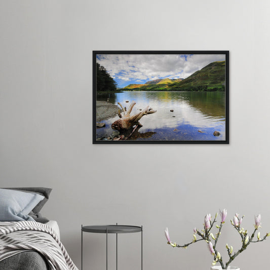 Framed canvas print of Buttermere Lake with driftwood in foreground