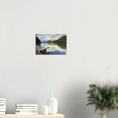 Canvas print capturing Buttermere Lake’s peaceful scene with smooth water reflecting clouds and green fells and driftwood resting on the shore.