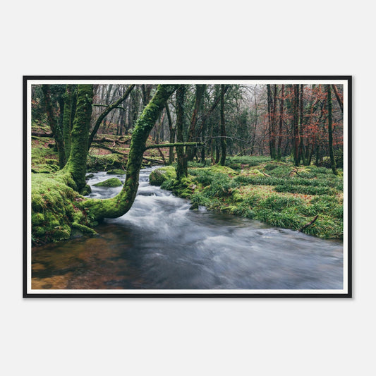 Scenic framed wall art of River Meavy flowing through forest
