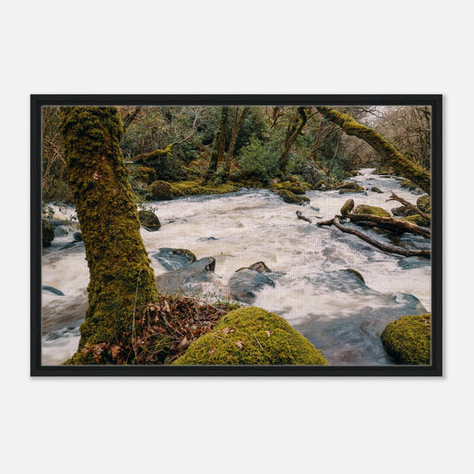 River Plym rushing through mossy forest at Shaugh Prior