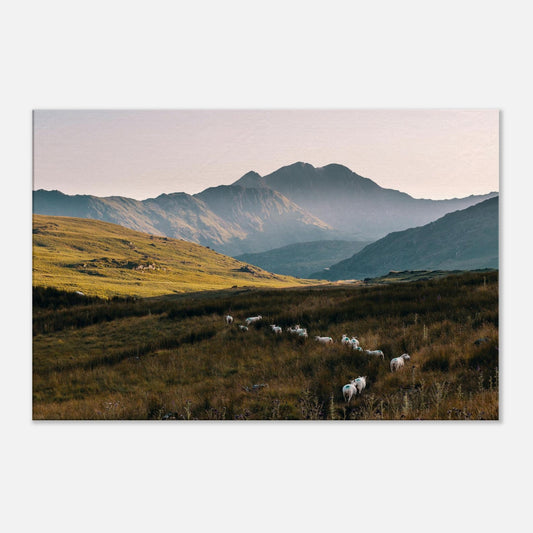Serene evening light over Snowdonia National Park in canvas art