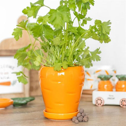 Carrot-shaped plant pot with parsley seed balls and matching water tray for growing herbs