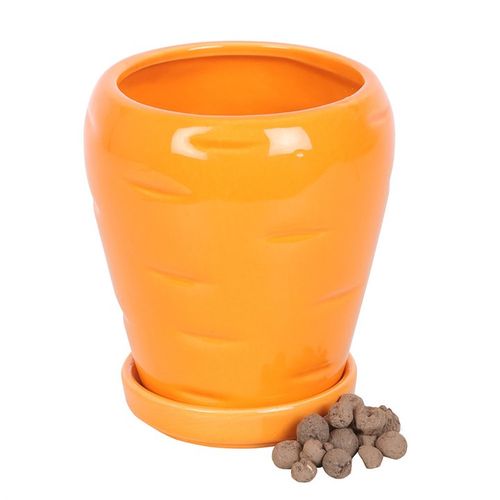 Carrot-shaped plant pot with parsley seed balls and matching water tray for growing herbs