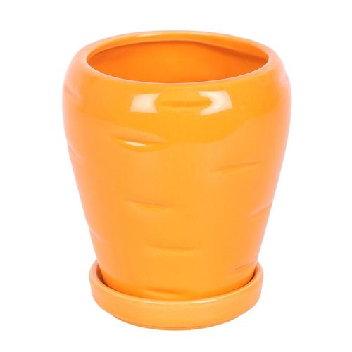 Carrot-shaped plant pot with parsley seed balls and matching water tray for growing herbs